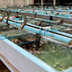 Illustration for article titled Farming Nemo: How Aquaculture Will Feed 9 Billion Hungry People